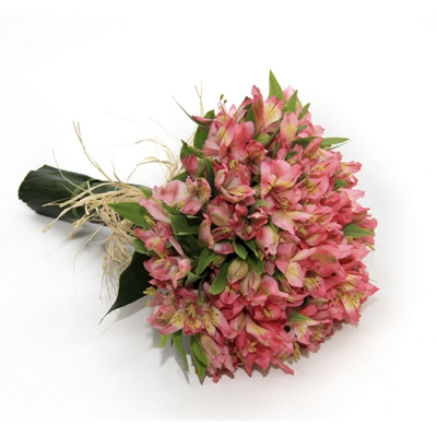 Mini buquê de astromelias