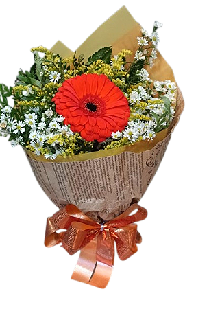 Buquê de gerberas