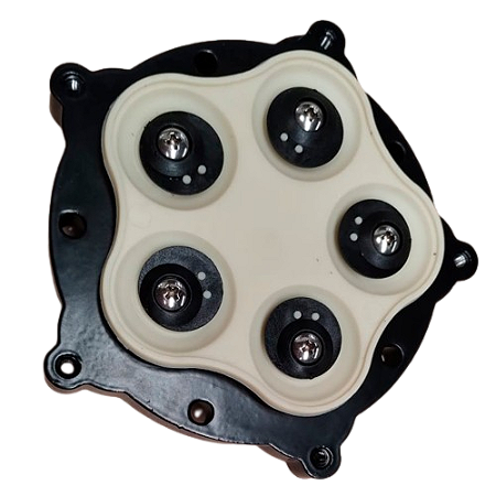 CONJUNTO REPARO DIAFRAGMA SEAFLO 51