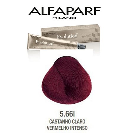 Coloração Alfaparf Evolution 5.66I Castanho Claro Vermelho Intenso