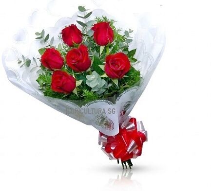 001 - Buquê com 6 Rosas Vermelhas