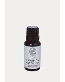Óleo Difusor Lavanda Absoluta 20ml Lenvie