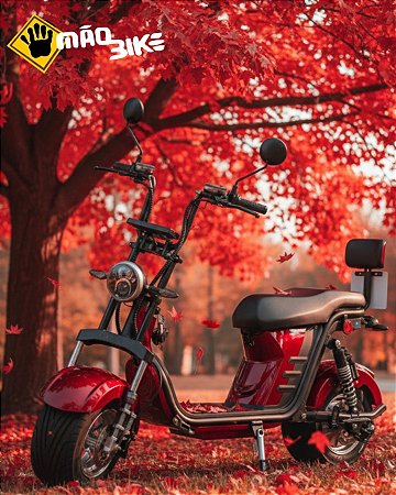 X 12 1000W (Autopropelido) - Moto Chefe