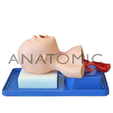 Simulador Bebê, para Treino Intubação Traqueal - TGD-4007-B