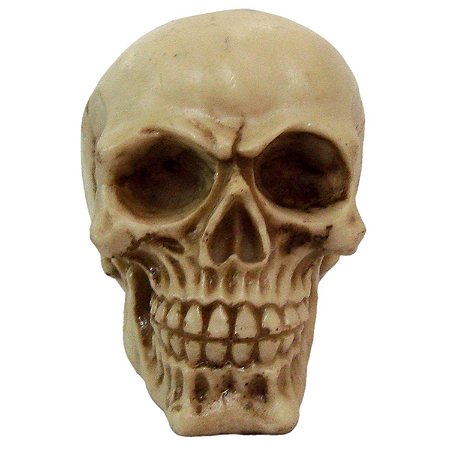 Crânio 10cm - envelhecido (caveira)