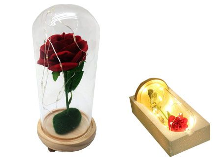 Cúpula de Vidro com Rosa Permanente e Fio de LED
