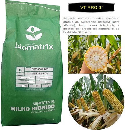 Semente De Milho Transgênico Biomatrix Bm 3066 Pro 3 - 2kg