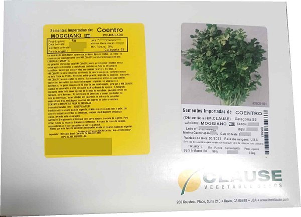 Sementes De Coentro Moggiano Caixa com 1kg - HM Clause