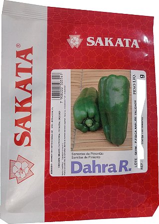 SEMENTE PIMENTAO DAHRA R. 1.000 SEMENTES SAKATA PIMENTAO VERDE