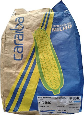 Semente De Milho Hibrido Caraiba Embalagem 6.000 Sementes - CG 1016