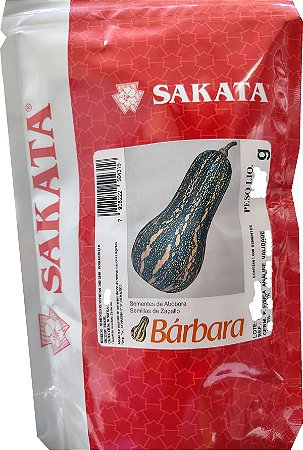 Sementes De Abóbora Bárbara Com 1.000 Sementes - Sakata