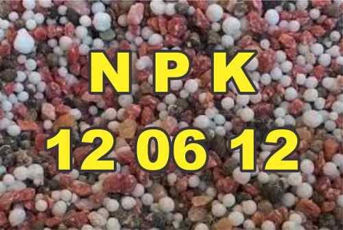 NPK, Loja Oficial