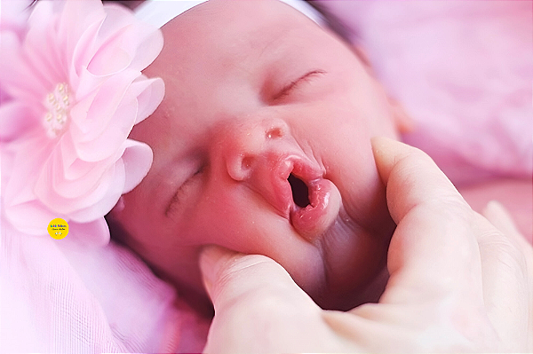 Boneca Bebê Reborn Menina Charlotte 46 Cm Olhos Fechados Linda Bebê Recém Nascida Silicone Sólido