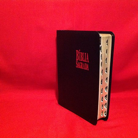 B-14 BÍBLIA C/CONCORD. E DICIONÁRIO