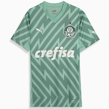 Camisa Palmeiras 2025/2026 - Torcedor Puma Masculino Goleiro Verde