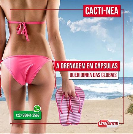 CACTINEA 500MG  30 CAPSULAS - DRENAGEM LINFÁTICA EM CÁPSULAS