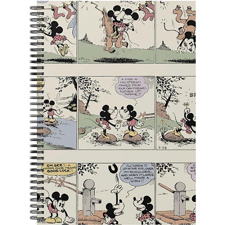 Caderno 01X1 Cp.dura Colegial Disney 80F ESP 24,5X18,5CM