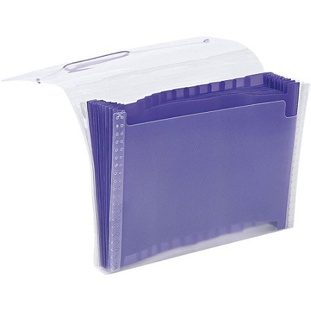 Pasta Sanfonada Plastica A4 12 Divisoes Lilas NEW Line