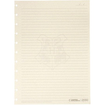Caderno Inteligente Refil Grande HARRY Potter Paut. 50F