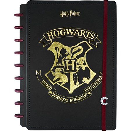 Caderno Inteligente Medio HARRY Potter