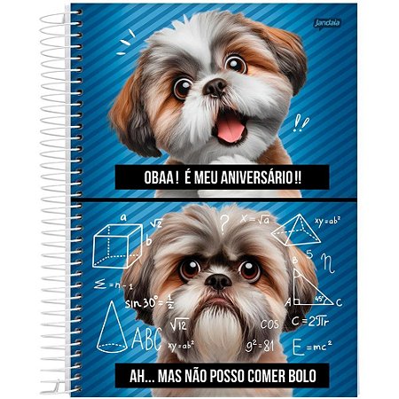 Caderno 01X1 Capa Dura PETS Love 80FLS.