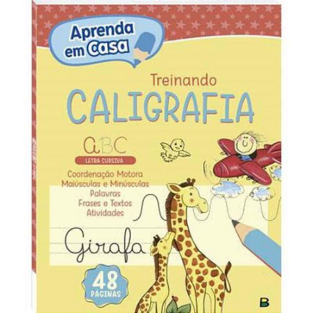Livro Ensino Aprenda em Casa Caligrafia 48P