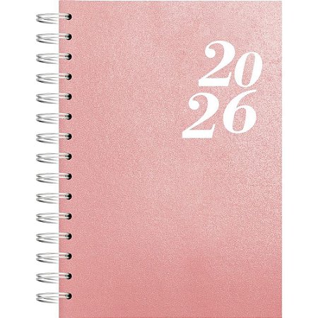 Agenda 2025 Single CD ESP 160F. (S) 140X20