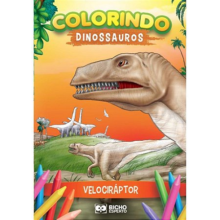 Livro Infantil Colorir Dinossauros P/COLORIR 10PGS PCT.C/10