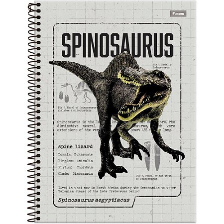 Caderno 15X1 Capa Dura Sauros 240F PCT.C/02