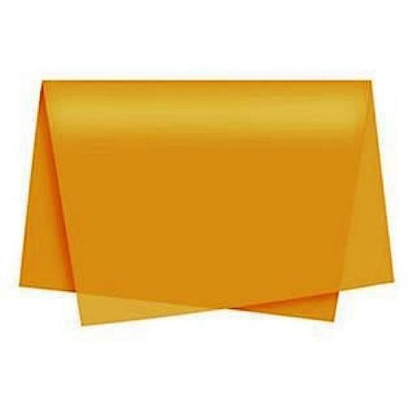Sujinho Poli Liso 49X69CM Laranja PCT.C/50