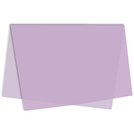 Sujinho Poli Liso 49X69CM Ametista PCT.C/50