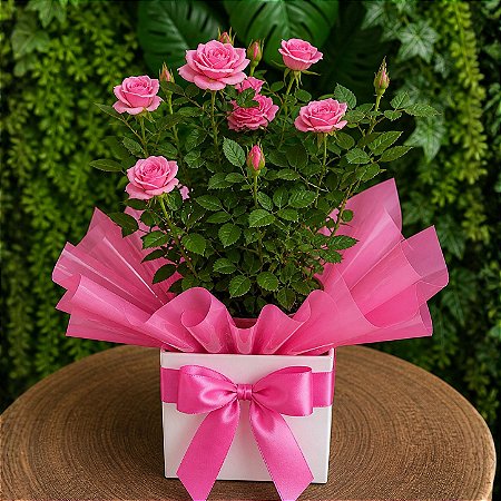 Vaso de mini rosas (cores variadas)