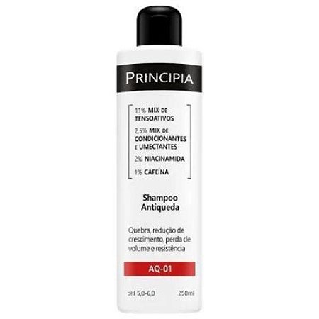 PRINCIPIA SHAMPOO ANTIQUEDA 250ML AQ-01