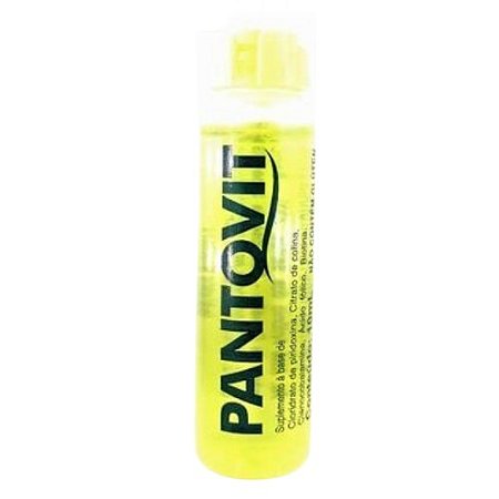 PANTOVIT SUPLEMENTO ALIMENTAR COLINA + L-METIONINA 10ML SB.ABACAXI