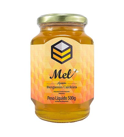 Mel Puro Silvestre 500g