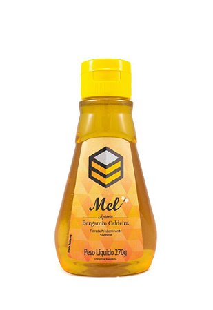 Mel Puro Silvestre 270g