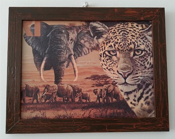 Quadro África