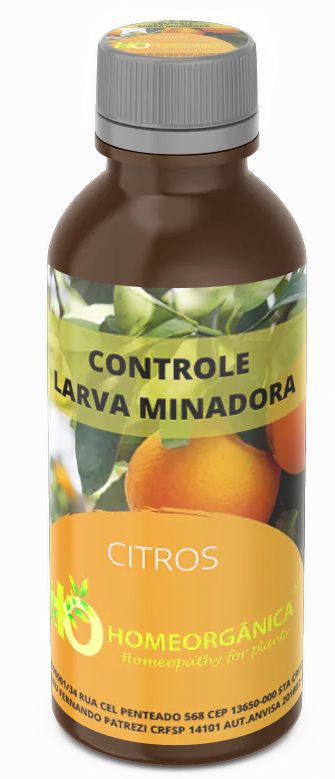 CONTROLE LARVA MINADORA - Auxiliar no controle da larva minadora dos citros (Phyllocnistis citrella)