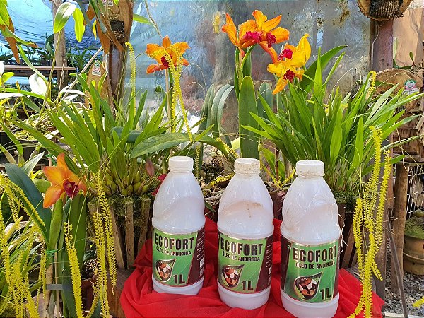 Óleo de Andiroba Ecofort