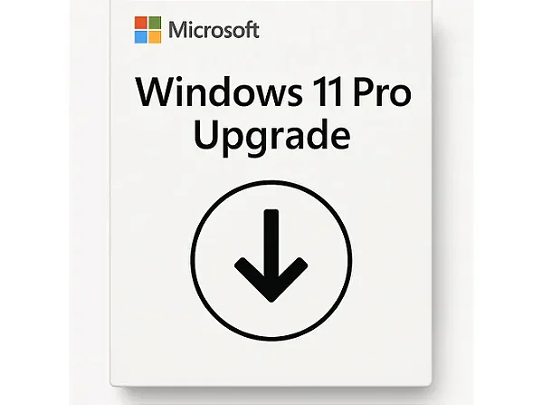 Microsoft Windows 11 Pro Upgrade Perpétuo CSP - DG7GMGF0D8H4-004