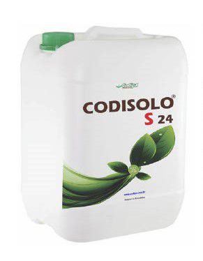 CODISOLO S24