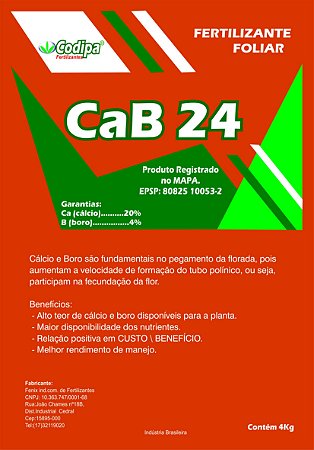 CAB24