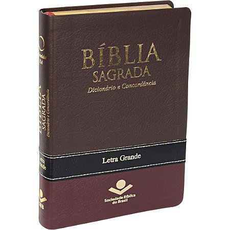 BÍBLIA C/ DICIONÁRIO E CONCORDÂNCIA