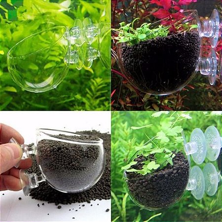 Vaso de vidro para planta Aquática Aquário Plantado