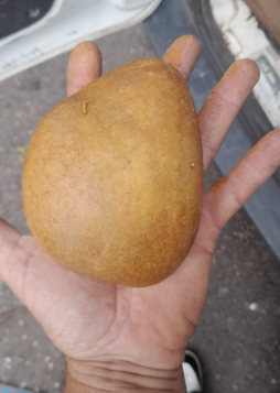 Marrom Batata - 30 Kg