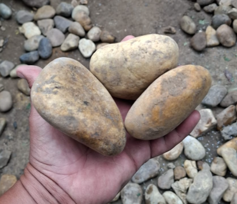 Fundo de Rio Batatinha - 30 Kg