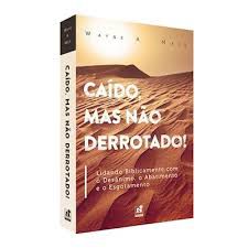 CAÍDO, MAS NÃO DERROTADO! LIDANDO BIBLICAMENTE COM O DESÂNIMO, O ABATIMENTO E O ESGOTAMENTO