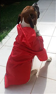 Capa de Chuva Impermeável Refletiva (Grande Porte)