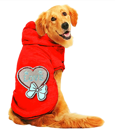 Moletom com Capuz Love