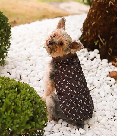 Roupa cachorro louis vuitton Clearance
